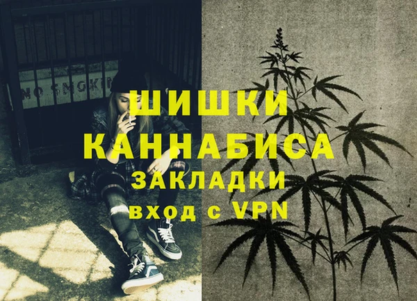 стаф Аркадак