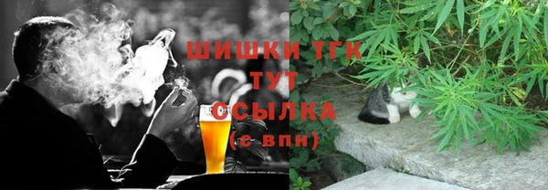стаф Аркадак