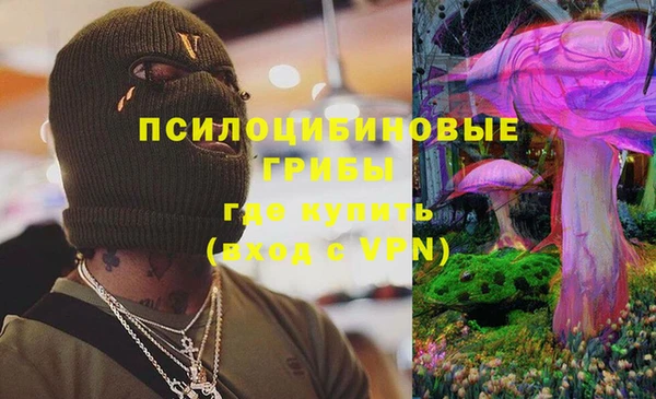 стаф Аркадак