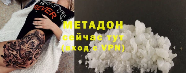 стаф Аркадак